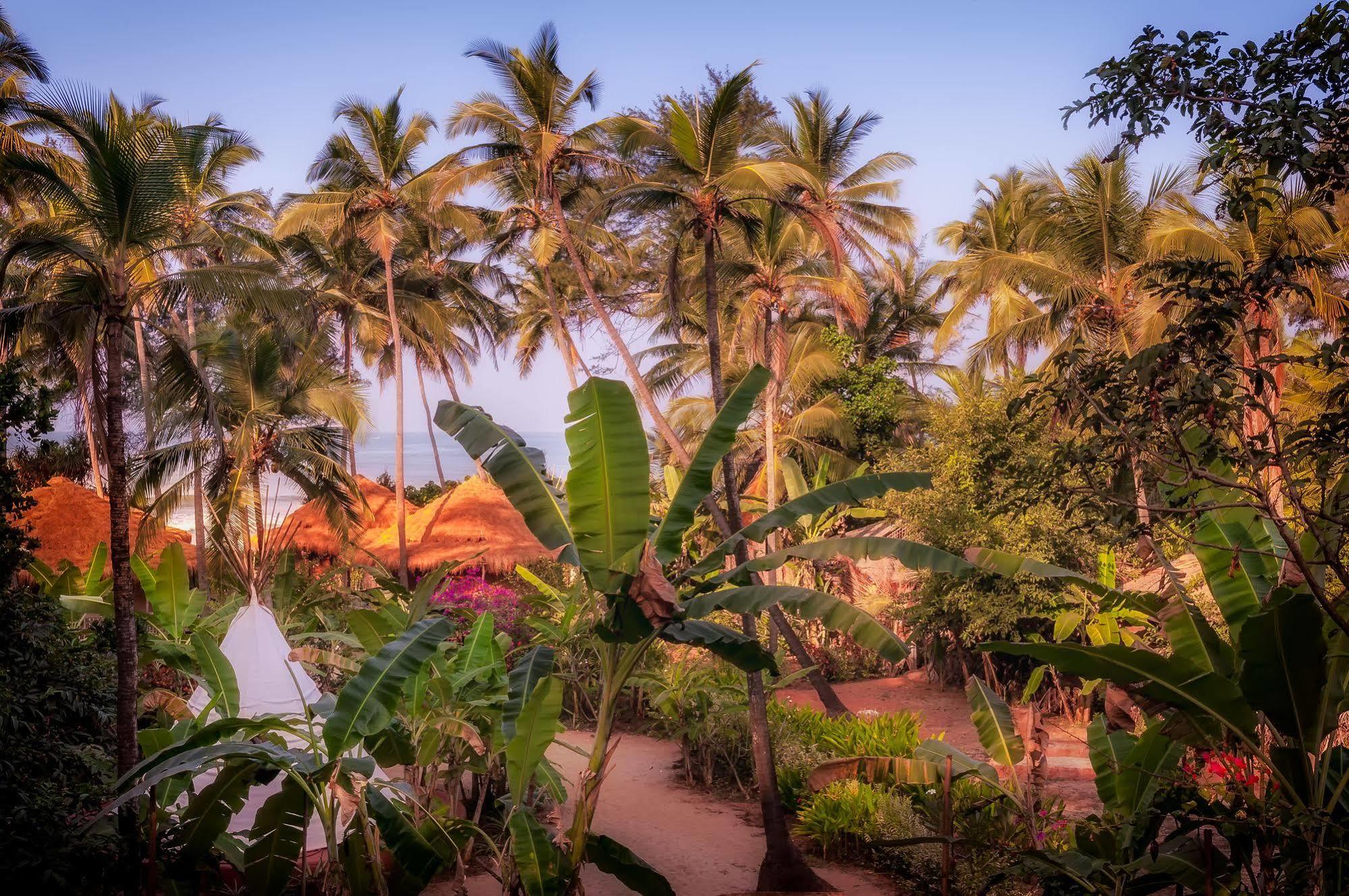 Anahata Retreat Mandrem Bagian luar foto